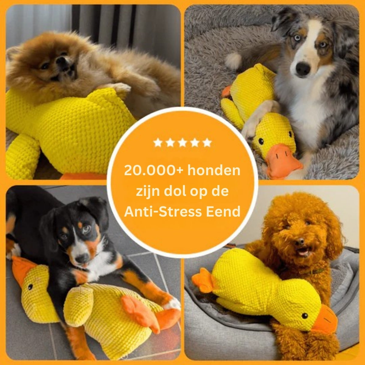 QuackBuddy | Anti-Stress Knuffel voor Honden