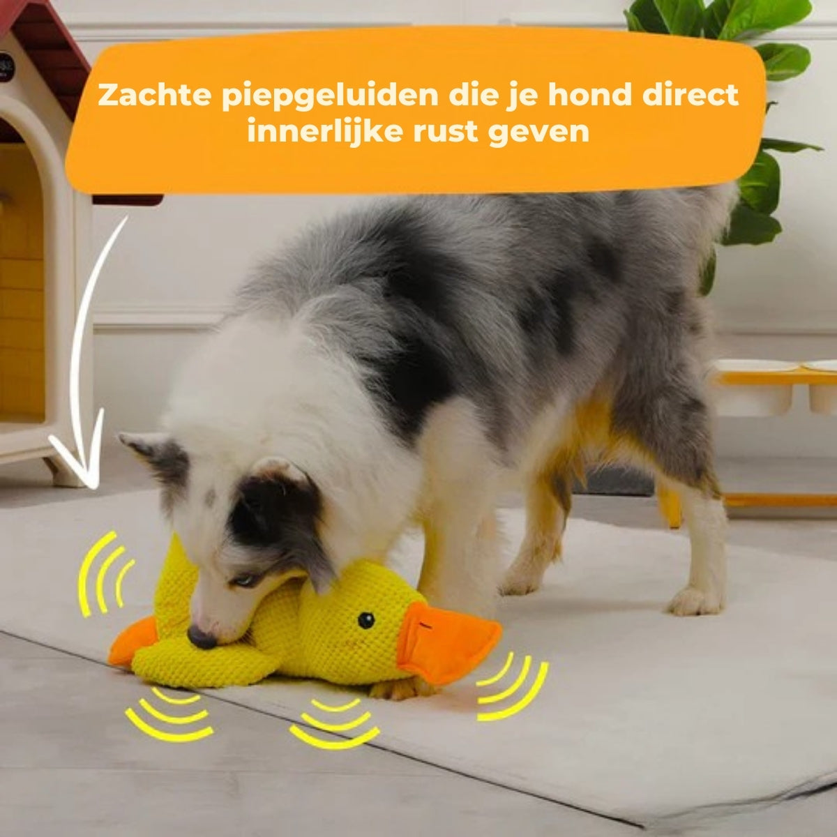 QuackBuddy | Anti-Stress Knuffel voor Honden
