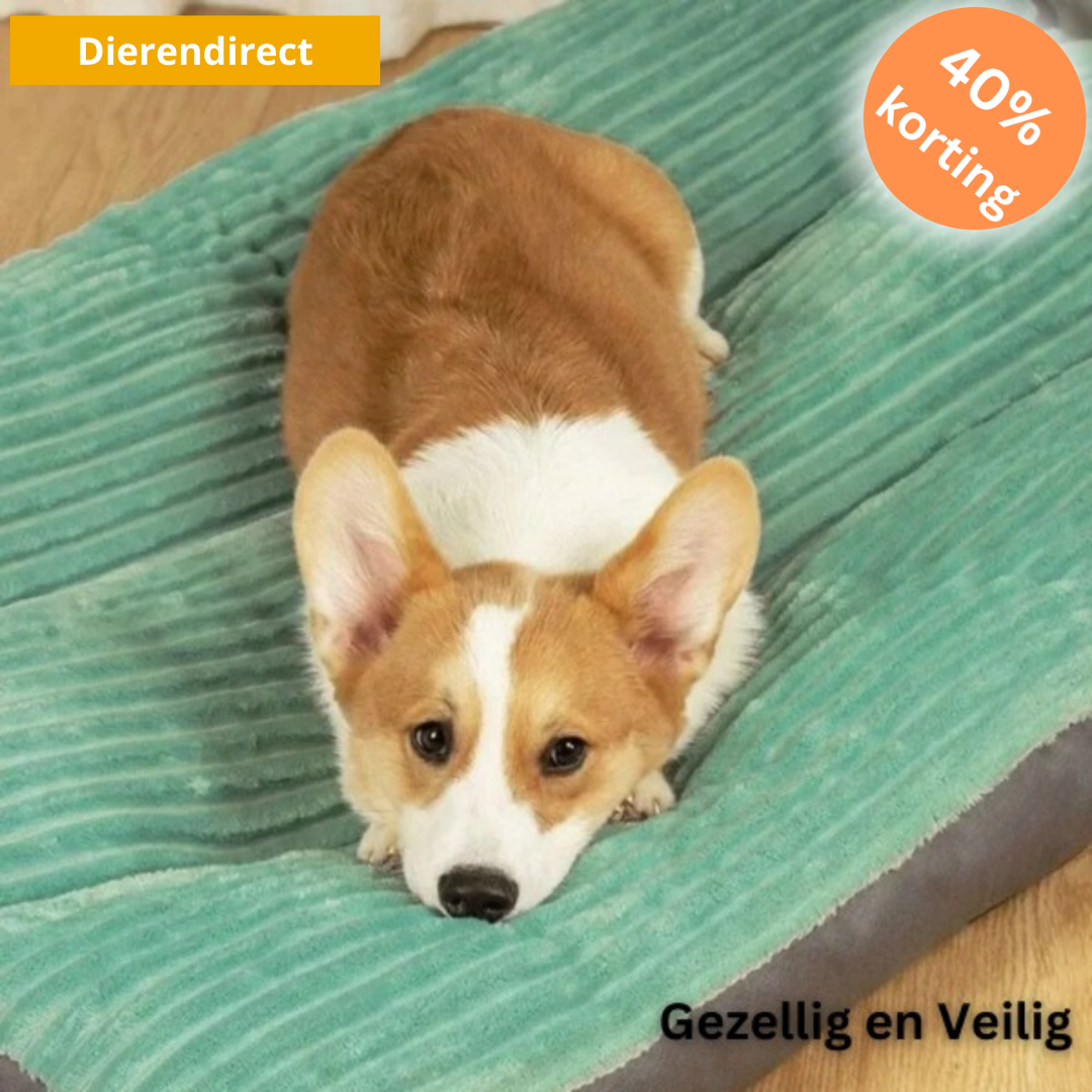 ComfyPaws™ | Geheugenfoam Orthopedisch Hondenkussen met Verwijderbare Hoes