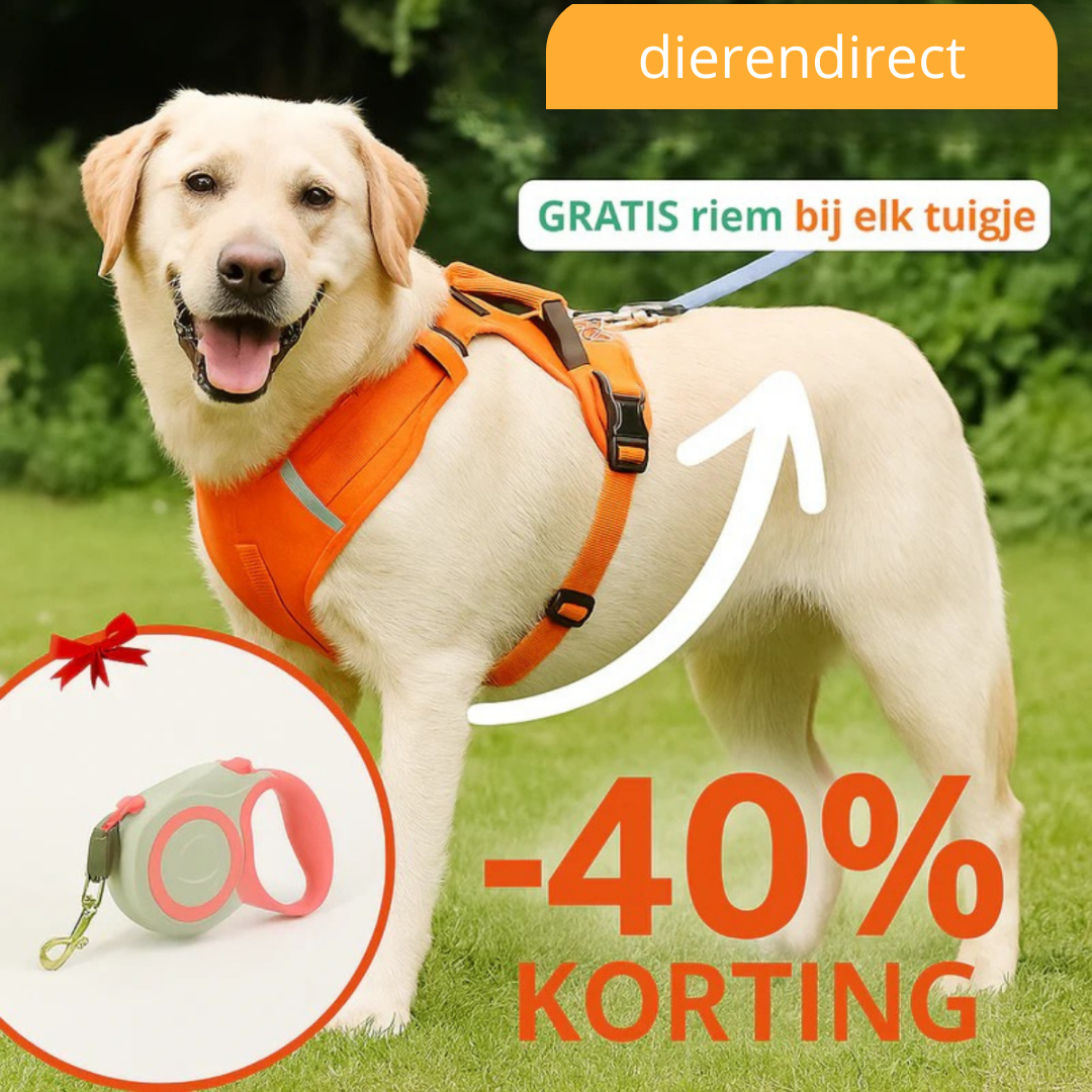 EasyWalk™ | Voorkom nekpijn en kies voor ademend gemak!