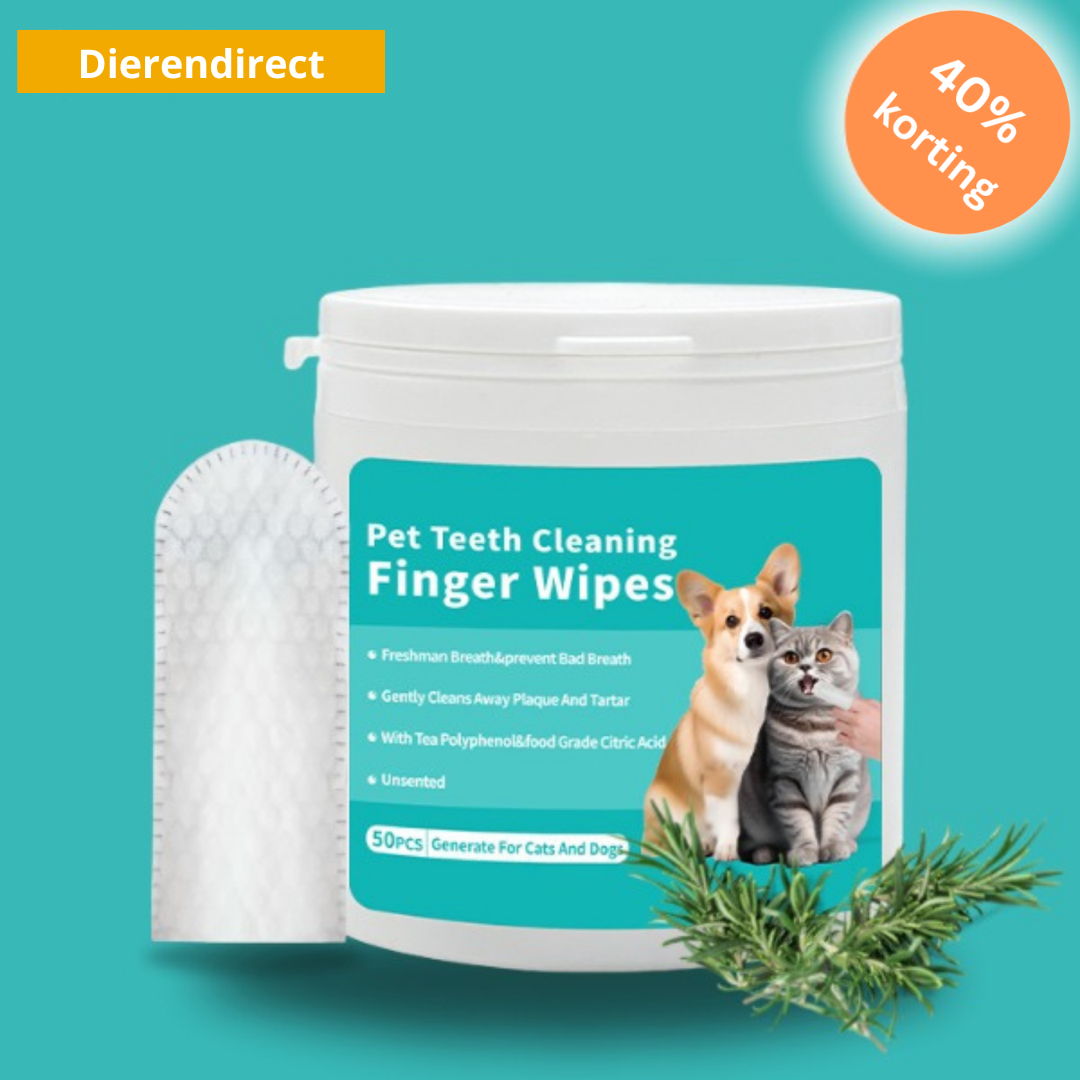 BrightBite™ | Tandreinigingsdoekjes