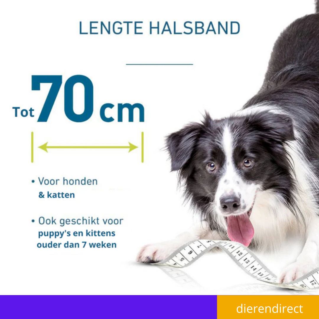 Vlooienhalsband™ Nooit meer last van vlooien!