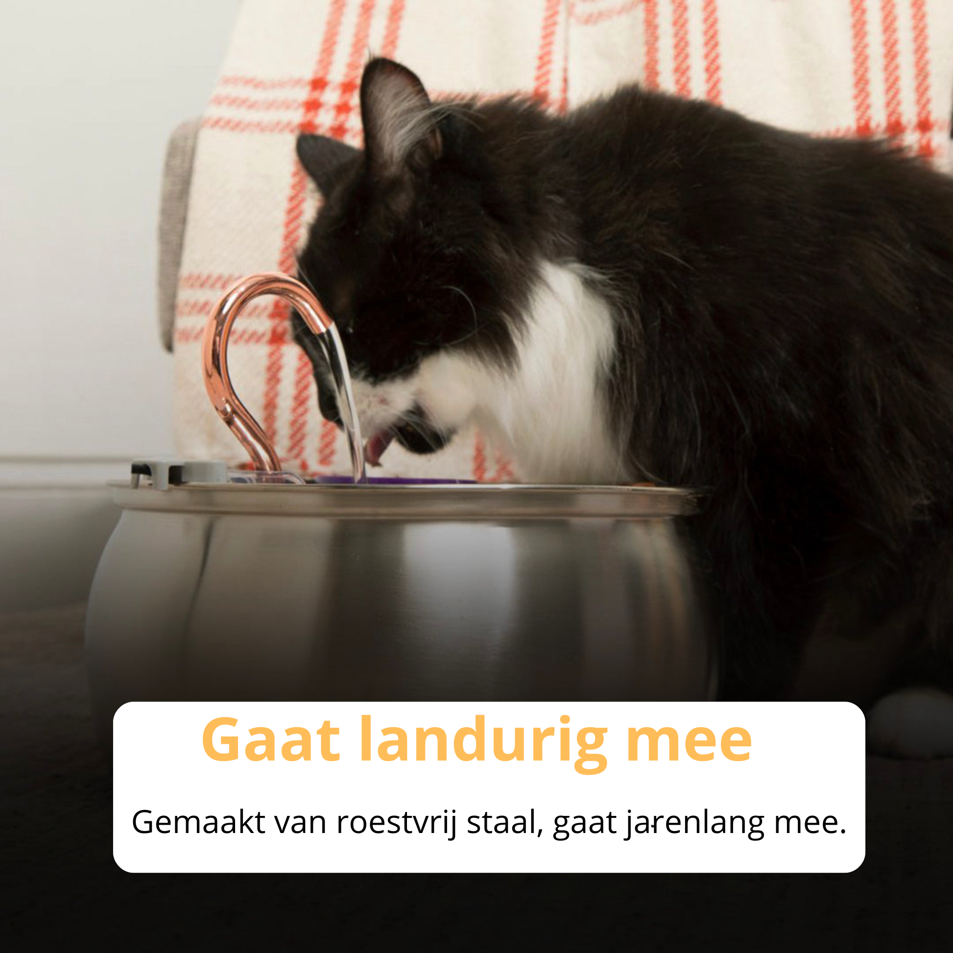 KatFontein™ | Altijd vers water, elke slok een verfrissing!