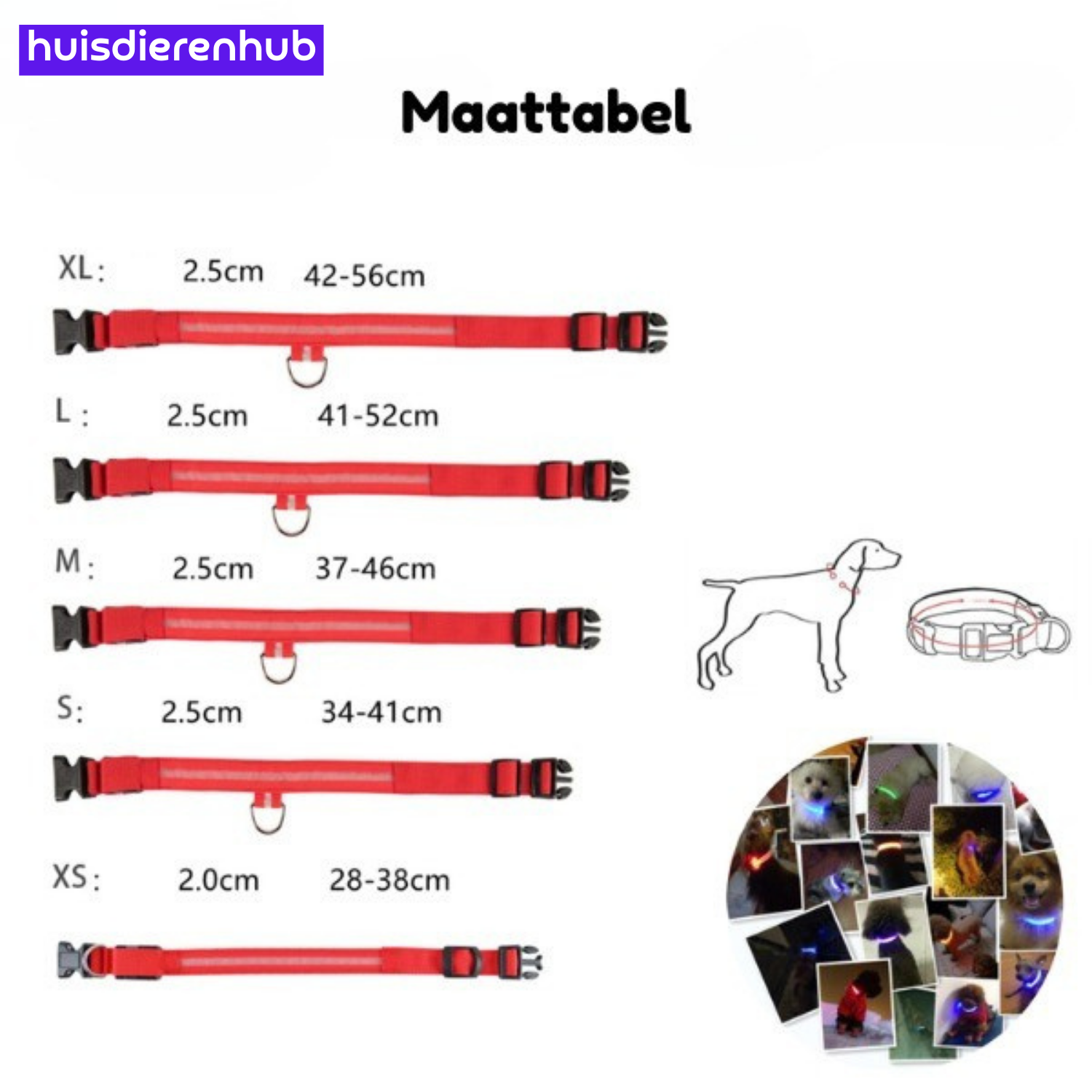 BrightPaw™ | Oplaadbare LED Hondenhalsband voor Veiligheid