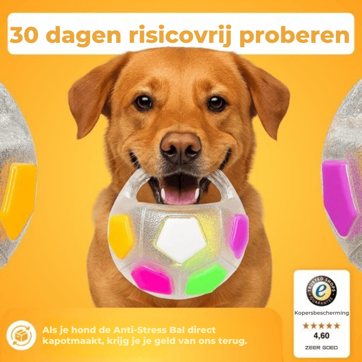 HappyPaws | Stressverlichtend Speelbal voor Honden