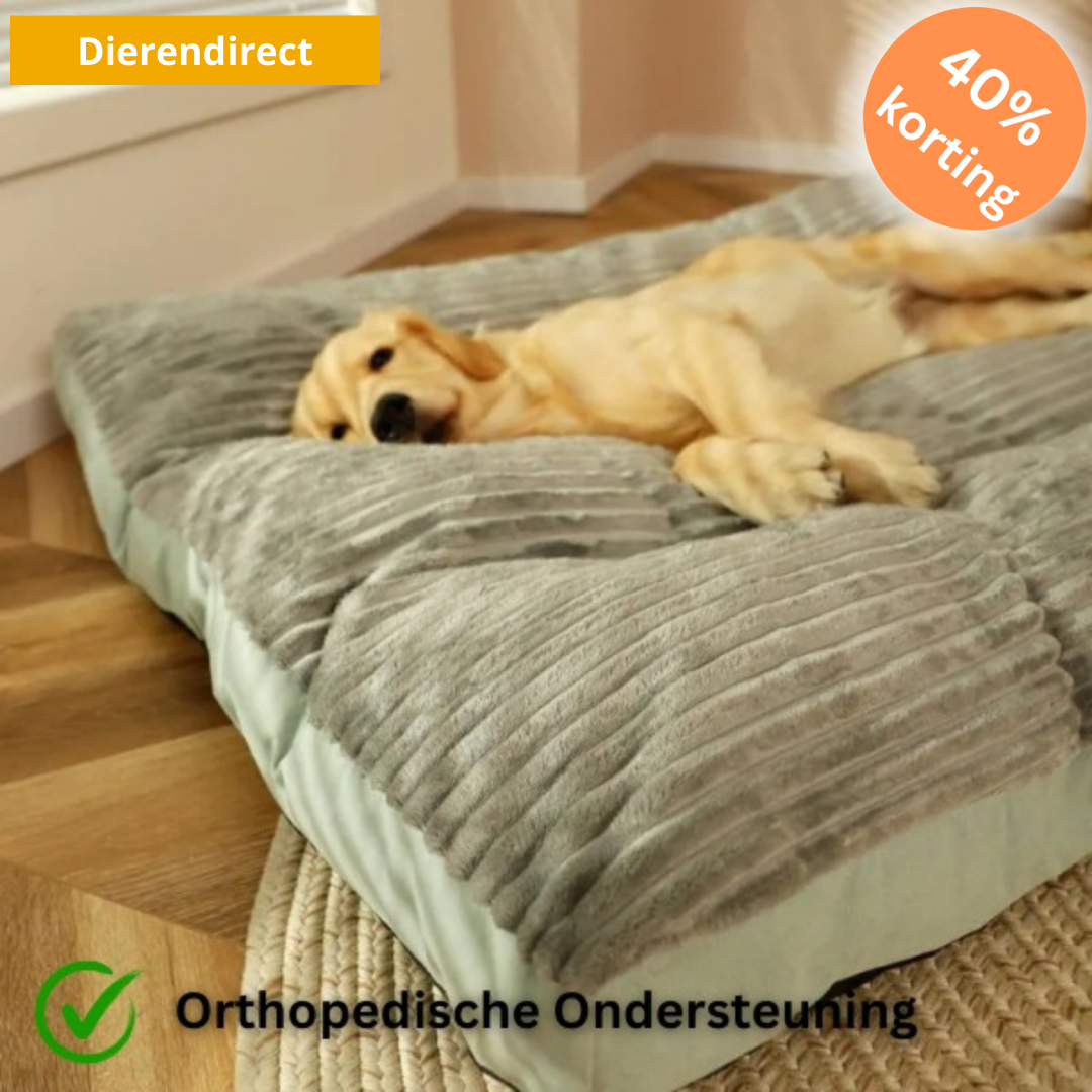 ComfyPaws™ | Geheugenfoam Orthopedisch Hondenkussen met Verwijderbare Hoes
