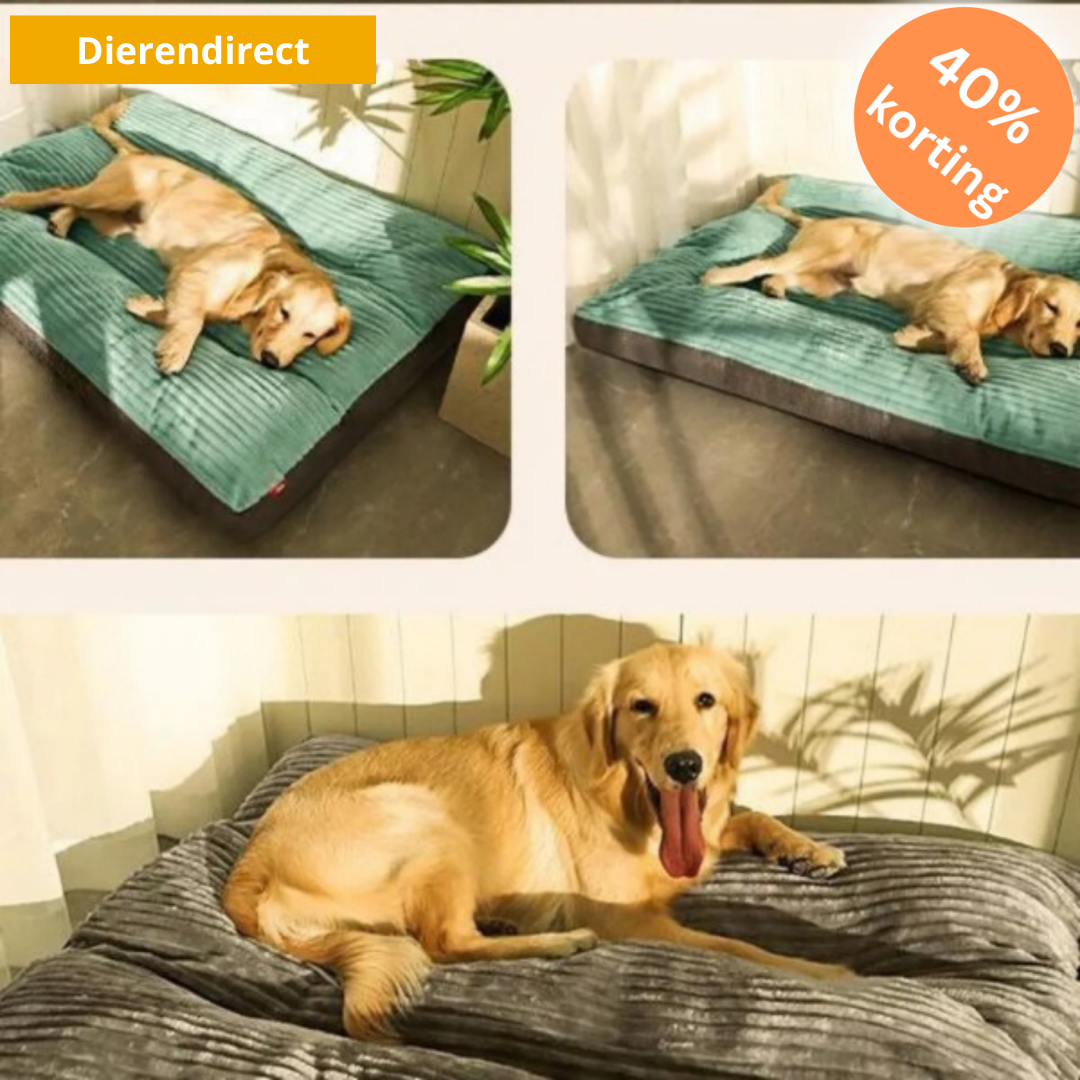 ComfyPaws™ | Geheugenfoam Orthopedisch Hondenkussen met Verwijderbare Hoes