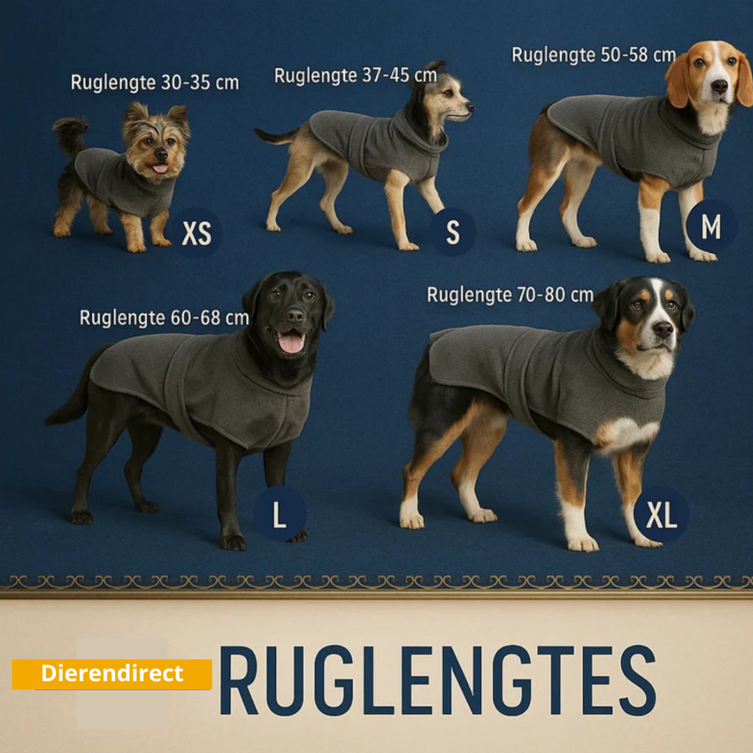 PawDry™ Houd je hond droog en je huis schoon!