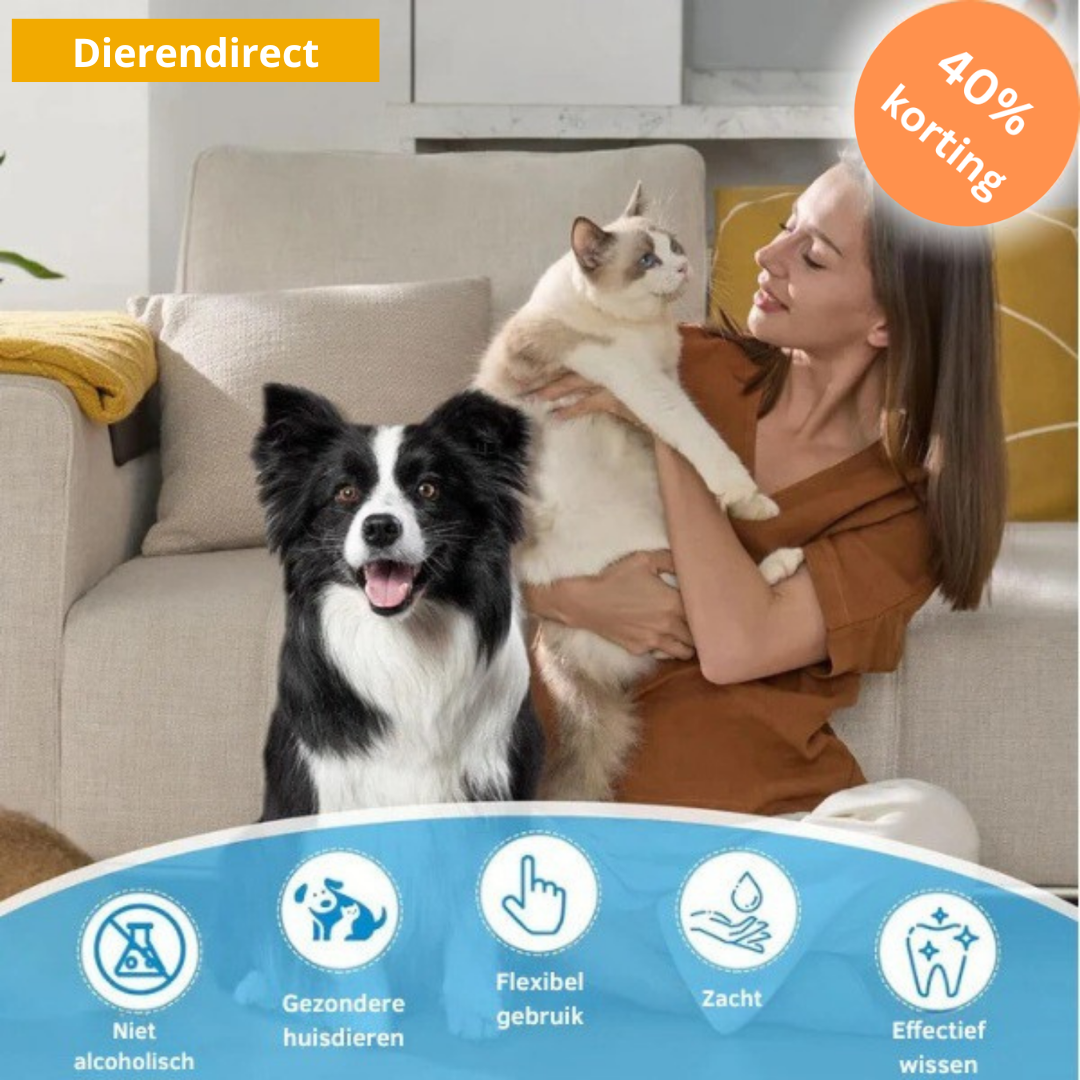 BrightBite™ | Tandreinigingsdoekjes