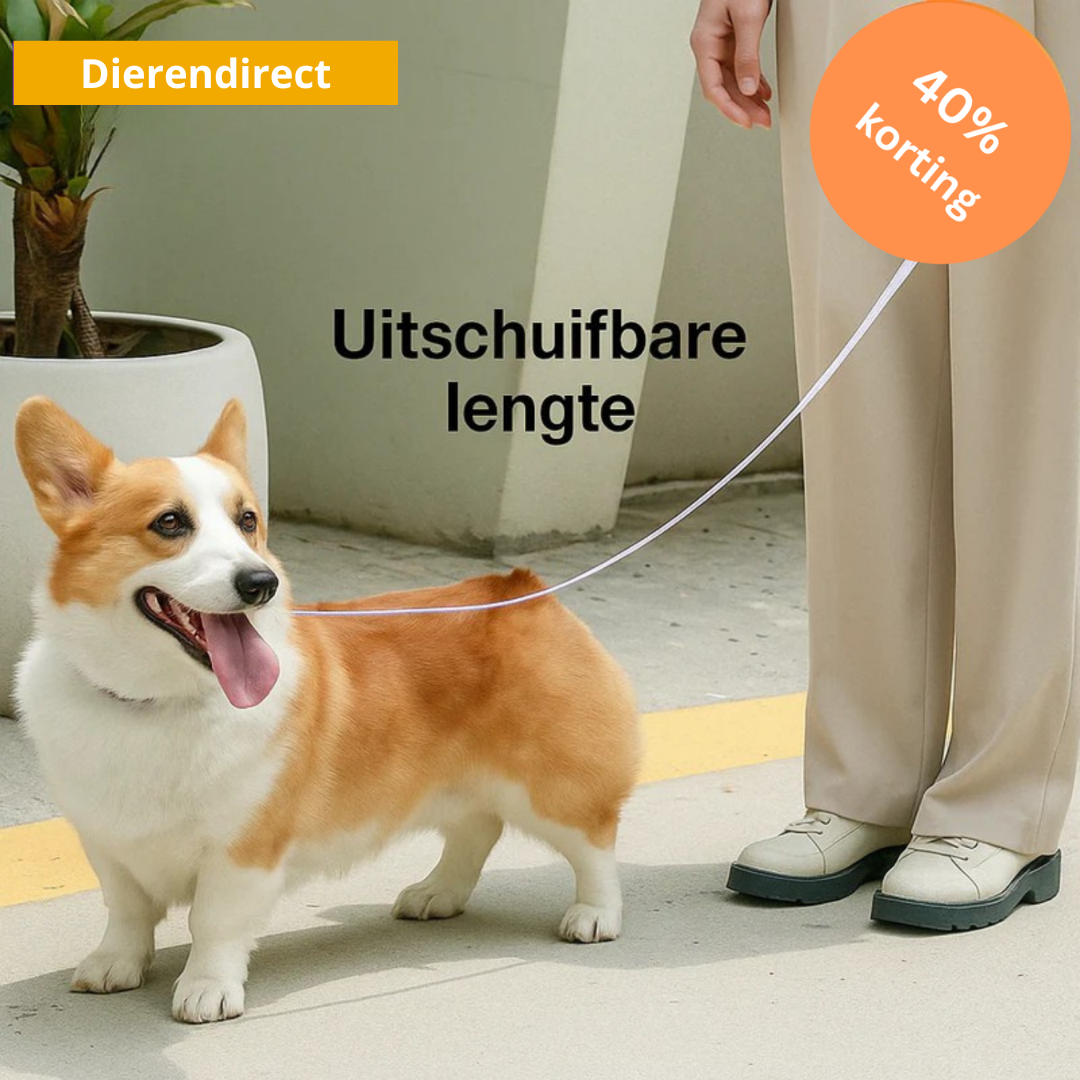 PawGlow™ |  Licht in de duisternis: veilig op pad, samen stralend!