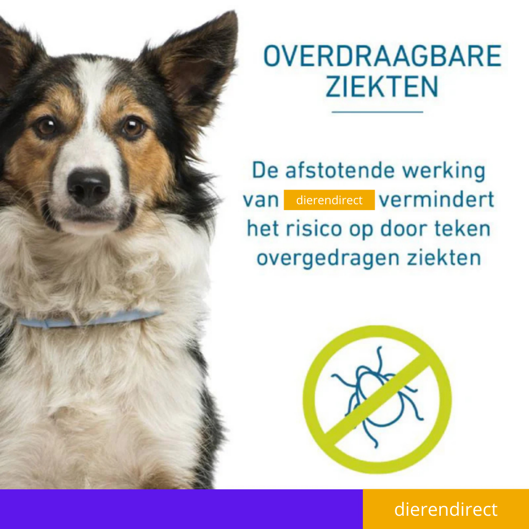 Vlooienhalsband™ Nooit meer last van vlooien!