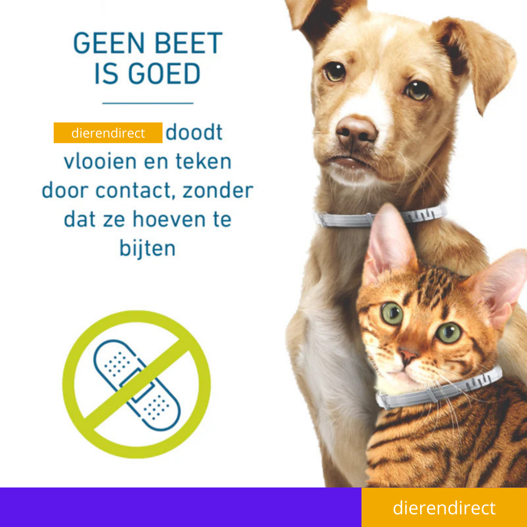 Vlooienhalsband™ Nooit meer last van vlooien!