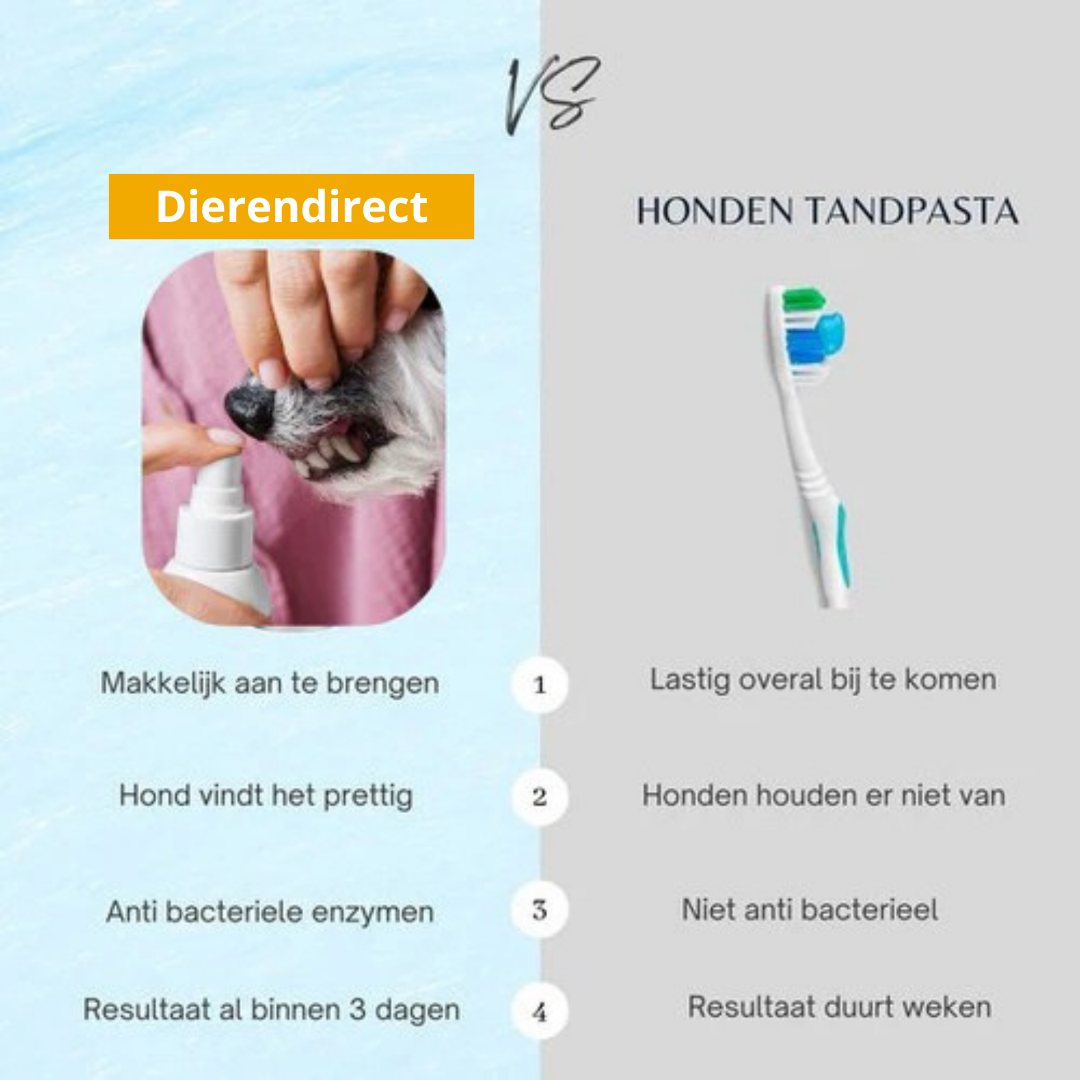 PetSmile Dental Spray™ | ⭐Bestseller