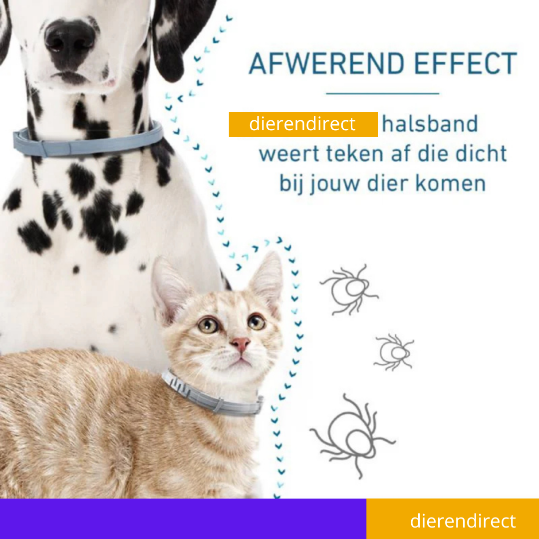 Vlooienhalsband™ Nooit meer last van vlooien!