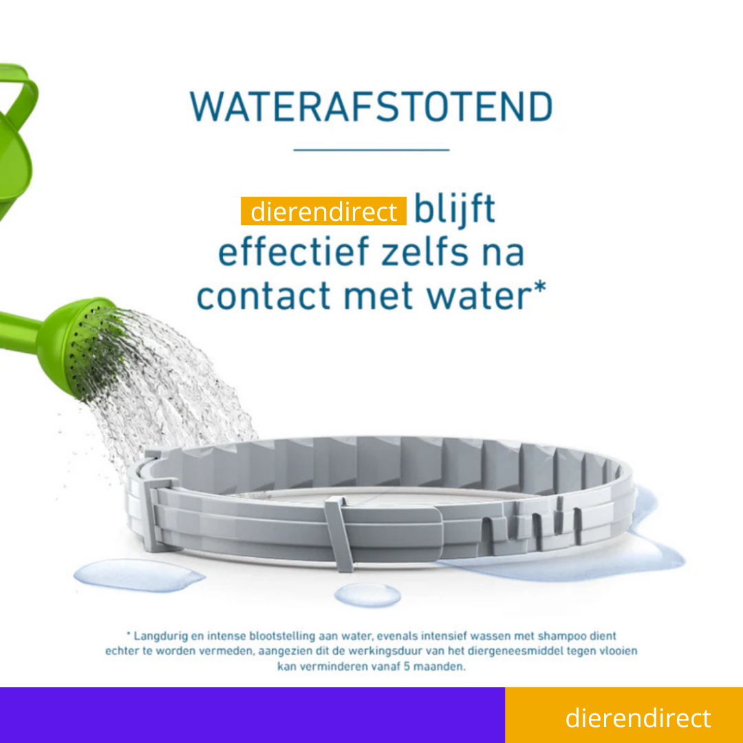 Vlooienhalsband™ Nooit meer last van vlooien!